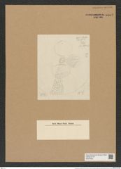 Coscinodiscus excavatus Grev. (de-Toni-Nr.: Genus 202, Species 4988) Zeichnungen Sammlung Grunow Nr. 8602 (NHMW-BOT-W0378262)